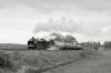 _DSC6111m.jpg