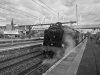 DSC_0646-01.jpeg