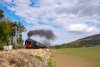 22D_0625 46115 Auchterarder 240422.jpg