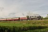 _DSC6264.jpg