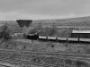 918A9C1E-7ADB-4EBE-B125-9DD3588D466D.jpeg