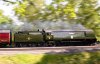 _DSC2534-Edit.jpg