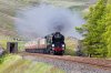 34046-(35)-fbook.jpg