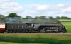 _DSC2584-Edit.jpg
