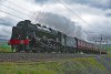 SHAP SCOT-CME 21May2022-PAFIN.jpg