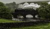Dalesman 1NP.jpg