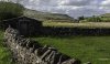 Dalesman 2NP.jpg