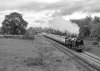 22D_0926 70000 All Stretton bw 080622.jpg