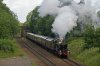 DSC02484u.jpg