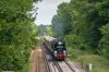 _DSC6404.jpg