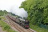 35018-01e.jpg