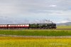 34046-(45)-Wharton-fbook.jpg