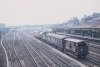 R3044.JPG