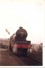 scan0045.jpg