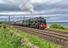 DSC_3231.jpg