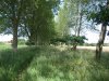 rDSCF6454.JPG