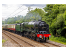 61F276CF-F67C-49D0-A78A-E10CB7D1C34C.png