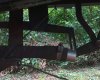 IMG_20220702_145755_341.jpg