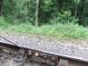 DSCF2458.JPG