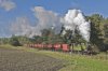 69023 hres dd.jpg