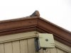 IMG_3375 resize.jpg