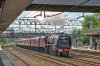 46233 Stafford-NP.jpg