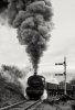 41m RSH 7763-1954 Marley Hill 29-12-97.jpg