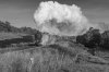 DSC_1123bw.jpg