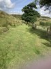 IMG_0891.jpeg