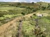 IMG_0897.jpeg