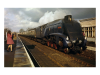 75126D4C-CCCE-4E97-9888-B6430BBC07AF.png