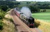 _DSC2669-Edit.jpg