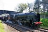 (10790) 92203 90775 Weybourne NNR 22.4.18  (66).JPG