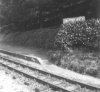 Snapper Halt 1936.jpg