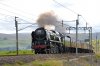 35018-01b.jpg