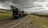 Waverley SG 1 NP.jpg