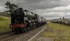 Waverley SG 2 NP.jpg