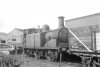 D1 at Whittingham a.jpg