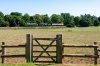 22D_1070 D6817 & 34046 Yorton 100822.jpg