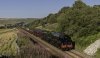Dalesman 46115 3 NP.jpg