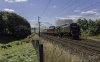 Northern Belle 7 1 NP.jpg