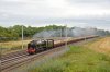 46100-01b.jpg