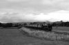 IMGP6557_1bw2s.jpg