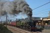 35018-01d.jpg