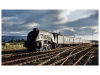 4CED0114-035D-412B-9782-FA944B76DAA5.png