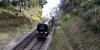 34092 Groombridge Loop IMG_20220828_163144.jpg
