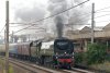 34067-01c.jpg