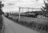 22D_1099 6233 Cranberry bw 030922.jpg
