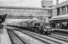 B39-07-Stafford-62-08-09-46225-DuchessOfGloucester-SBEmpressVoyager.jpg