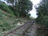 DSCF2511.JPG